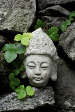Buddha head