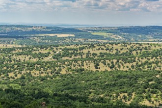 Barren landscape in the Chaskovo oblast in south-east Bulgaria. Lyubimets, Bulgaria, South-East