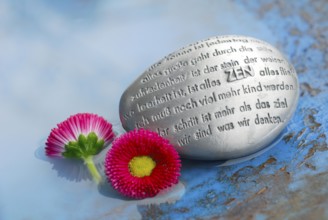 Poetry stone with ZEN text and daisies, daisies, poetry
