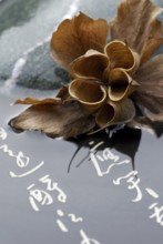 Dried flower, Japanese characters