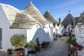 The beautiful trulli houses of Alberobello in Apulia, Italy, Europe