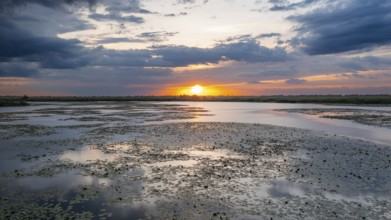 Danube Delta Sunset