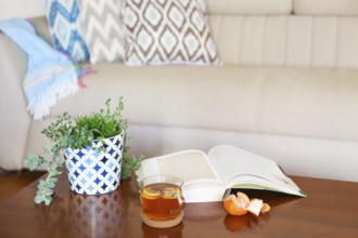 Pot with succulent plants and opened book with the tea on wooden table. Cozy room interior