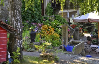 Perennial garden, garden fountain in the garden