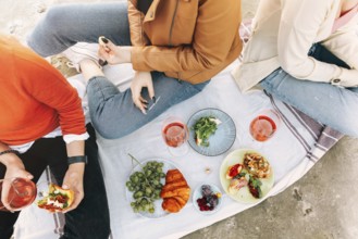 Cheerful young girlfriends drinking wine and eating bruschettas while having picnic on summer