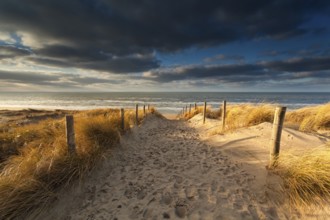 Sand path to North sea beach, Zandvoort, Netherlands