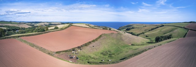 Fields and farmlands from a drone, Devon, England, United Kingdom, Europe