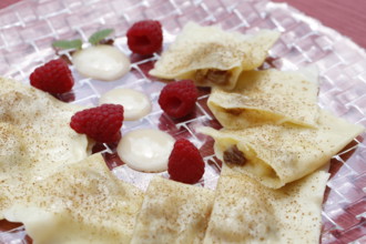 Swabian cuisine, apple ravioli, apple in pasta dough, sweet dish, dessert, vanilla sauce, cinnamon,