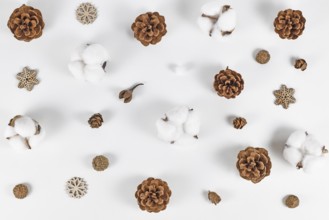 Winter arrangement with fir cones, snowflake ornaments and cotton (Gossypium) on white background