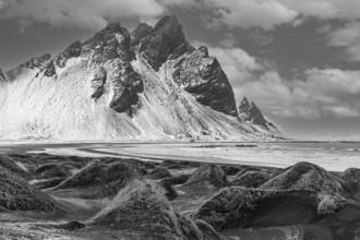 Black sand dunes with reed remains, behind them snowy rocky slopes of Vestrahorn, black and white