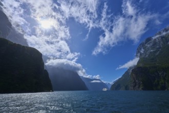 Sunny landscape with mountains and a ship in the distance, summer, Milford Sound, Te Anau,