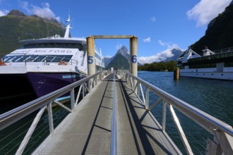Metal walkway leads between large ships to a picturesque mountain and fjord backdrop, summer,