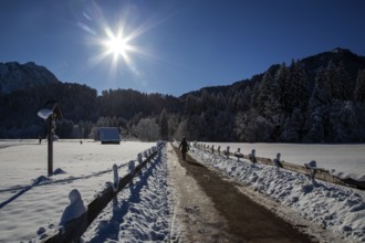 Winter landscape in the snow, hiker on a path through a snowy landscape, backlight, Oberstdorf,