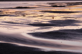 Mudflats at low tide, at dusk, Holy Island causeway, North Sea, Northumberland, England, United