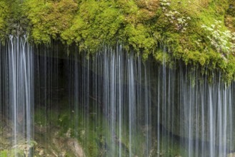 Moss-covered rocks and waterfall, Wutach Gorge, Bonndorf, Baden-Württemberg, Black Forest, Germany,