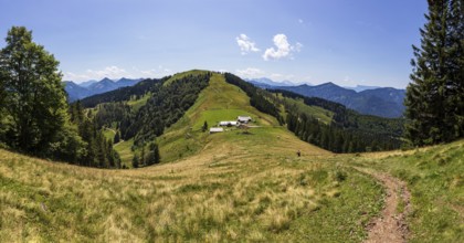 Oberwiesalm with view to Loibersbacher Höhe, Osterhorn group, Salzkammergut, Salzburg province,