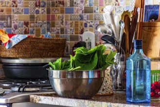 Real domestic scene of a kitchen and its varius utensils, Belo Horizonte, Minas Gerais, Brazil,