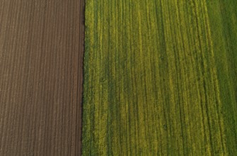 Drone view, green and ploughed fields, agricultural landscape, Innviertel, Upper Austria, Austria,