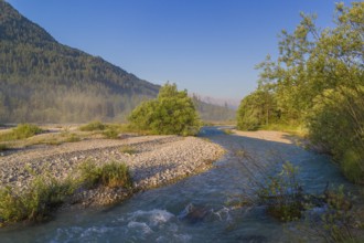 Isar valley nature conservancy area. The wild Isar river flows through its gravel bed past