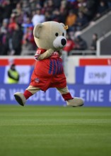 Mascot Paule 1. FC Heidenheim 1846 FCH jumps, air jump, joy, Voith-Arena, Heidenheim,