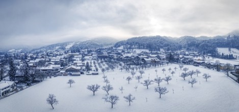Snow-covered landscape with bare trees and a village in the background, Bad Feilnbach