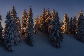 Sunrise snow tour on the Tegelberg in the Allgäu in Bavaria. Winter Wonder Land, Germany, Europe