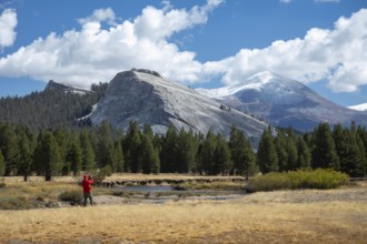Yosemite National Park, California - A man takes pictures of Lembert Dome above Tuolumne Meadows in