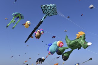 Kite festival, flying kites on Schönberg beach, Schleswig-Holstein, Germany, Europe