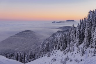 Sunrise snow tour on the Tegelberg in the Allgäu in Bavaria. Winter Wonder Land, Germany, Europe