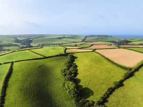 Farms and Fields over River Tamar Estuary from a drone, Cornwall, England, United Kingdom, Europe