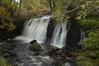 Waterfall in a woodland with autumn colour leaves in the landscape, Scotland, United Kingdom,