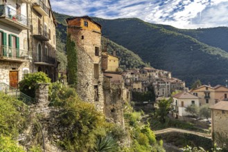 The medieval village of Rocchetta Nervina in Val Nervia, Liguria, Italy, Europe