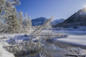 Isar valley in winter at temperatures of minus 18 degrees Celsius. Snow covered landscape with the