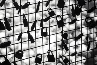 Padlocks, so-called love locks on a fence, vantage point in Wesel am Rhein, North Rhine-Westphalia,