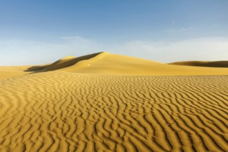 Dunes of Thar Desert. Sam Sand dunes, Rajasthan, India, Asia
