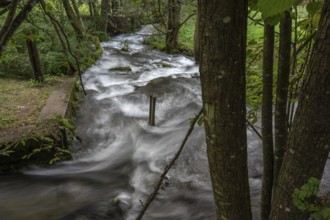 Rapids of the Trubach, Trubach Valley, Egloffstein, Upper Franconia, Bavaria, Germany, Europe