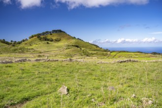 Landscape of the Meseta de Nisdafe plateau, El Hierro, Canary Islands, Spain, Europe