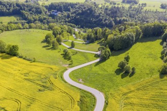 Aerial view of the winding serpentine road between blossoming rapeseed fields from Reifland to