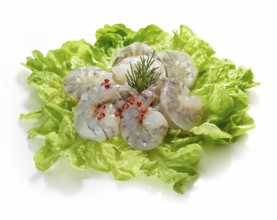 Raw prawns, decorated on lettuce leaves, studio shot