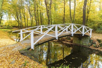Bridge over the castle moat in autumn, park of Hermsdorf Castle, Ottendorf-Ockrilla, Saxony,