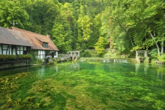 Historic hammer mill at the Blautopf, hammer mill, mill, Blautopfhaus, Blaubeuren, Swabian Alb,