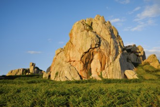 Large boulders in the evening light surrounded by ferns on the Pink Granite Coast in Brittany, Pors