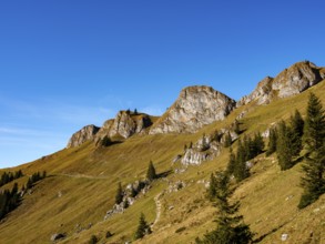 Hiking trails in the Rotwand area below the Rotwand-Köpfe, Mangfall mountains, Spitzingsee, Upper