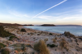 Dune landscape on a dream beach, coastline in the evening light, insider tip, Elafonisos, Deer