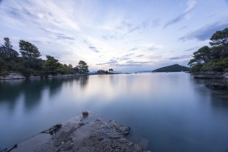 Calm sea at dawn, surrounded by trees and a gentle sky, bay, Peljesac, Croatia, Europe