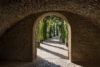 Passage through medieval town wall, vaults of the Bienenmarkt Passage, outside pergola with