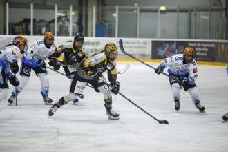 07.12.2024: German Women's Ice Hockey League, 2024/25 season: Mad Dogs Mannheim vs ERC Ingolstadt