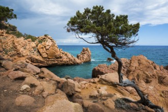 Red rocks and sea, Spiaggia di Coccorocci, near Tertenia, Province of Ogliastra, Sardinia, Italy,