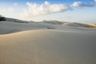 Lonely white sandy beach with dunes, sunrise, Porto Pino, Sardinia, south coast, Italy, Europe