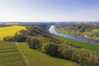 Aerial view of the Elbe valley with vineyards between Coswig and Meißen, Saxon Elbland, Saxony,